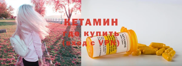 индика Горняк