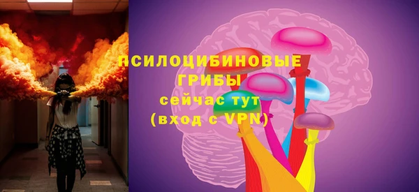 стафф Гусиноозёрск