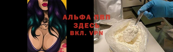 бошки Гусев
