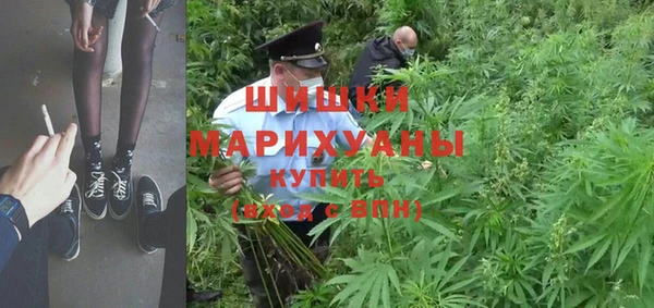 мдпв Горно-Алтайск