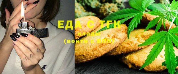 индика Горняк
