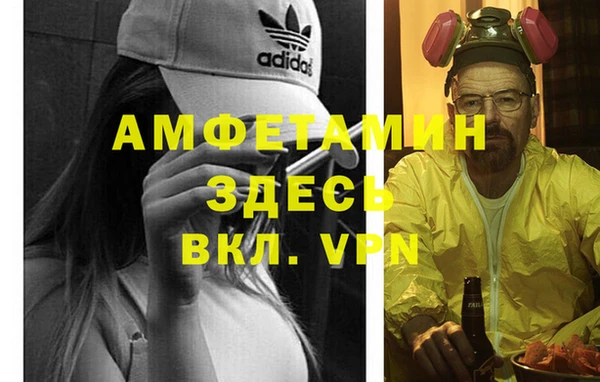 индика Горняк