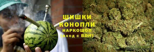 мдпв Горно-Алтайск