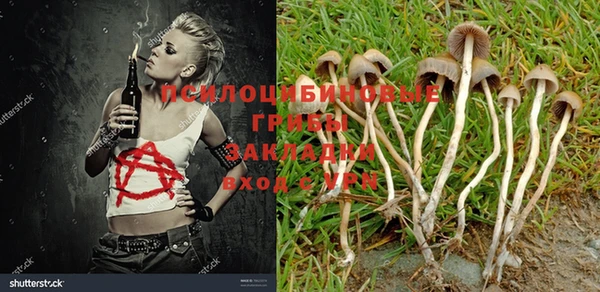 индика Горняк