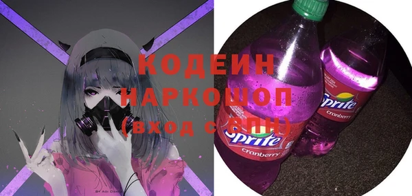мдпв Горно-Алтайск